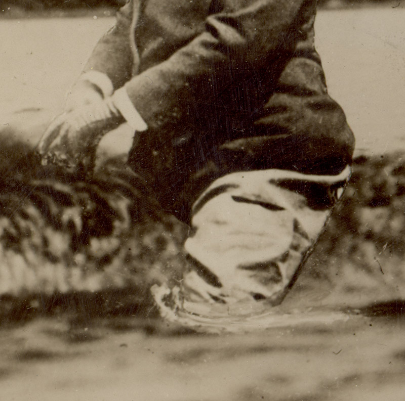 Illustration for article titled That Famous Photo of Teddy Roosevelt Riding a Moose Is Fake